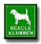Beagle klub